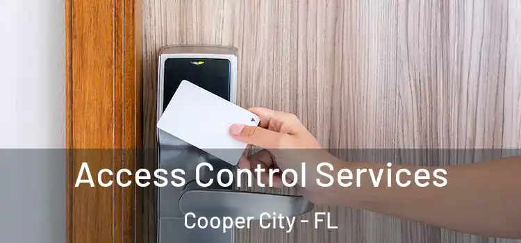 Access Control Services Cooper City - FL