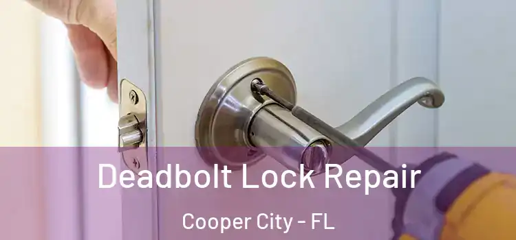  Deadbolt Lock Repair Cooper City - FL