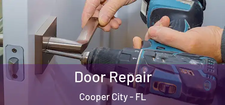  Door Repair Cooper City - FL