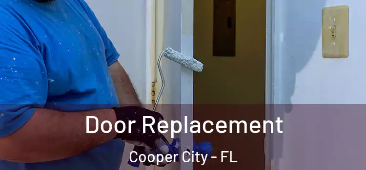 Door Replacement Cooper City - FL