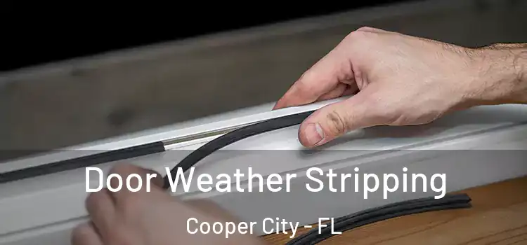 Door Weather Stripping Cooper City - FL