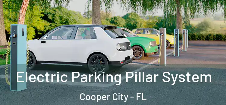  Electric Parking Pillar System Cooper City - FL