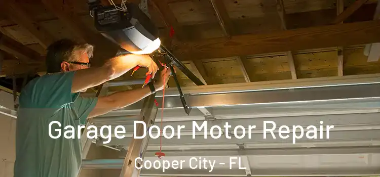  Garage Door Motor Repair Cooper City - FL