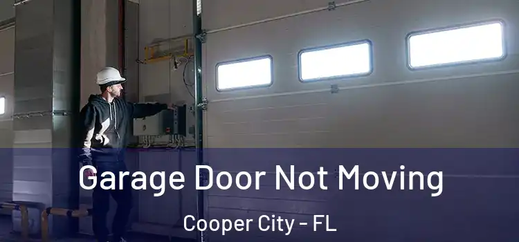  Garage Door Not Moving Cooper City - FL