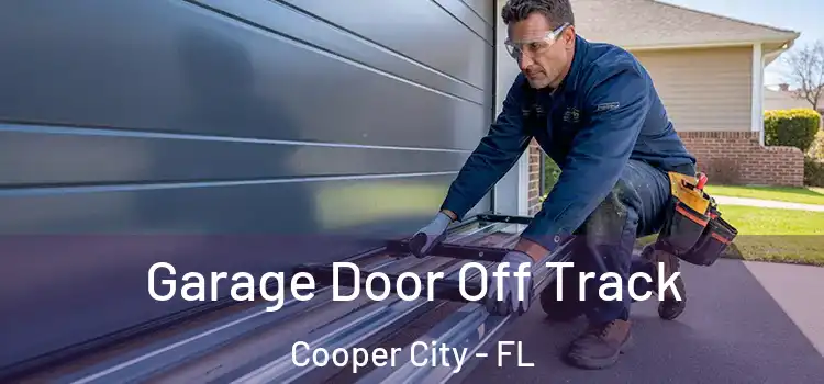  Garage Door Off Track Cooper City - FL