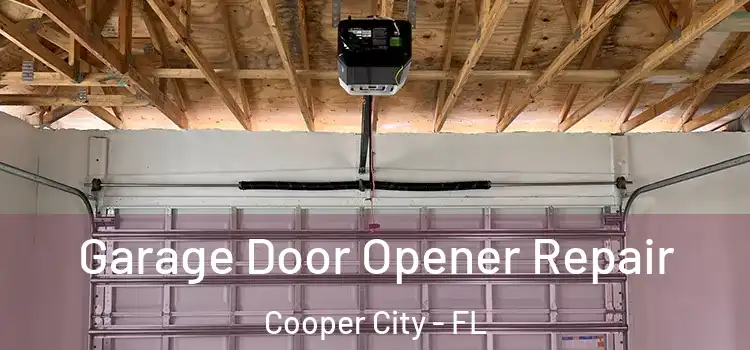  Garage Door Opener Repair Cooper City - FL