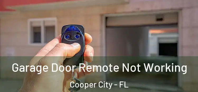  Garage Door Remote Not Working Cooper City - FL