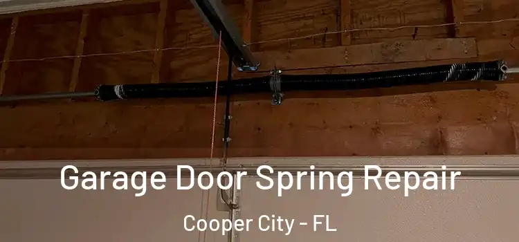 Garage Door Spring Repair Cooper City - FL