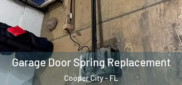  Garage Door Spring Replacement Cooper City - FL