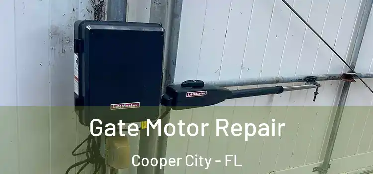 Gate Motor Repair Cooper City - FL