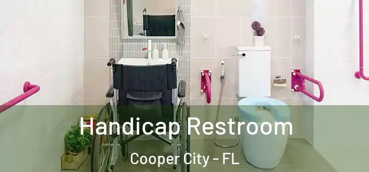  Handicap Restroom Cooper City - FL