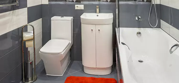 Hansgrohe Shaving Mirror Cooper City