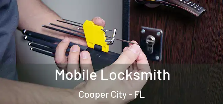 Mobile Locksmith Cooper City - FL
