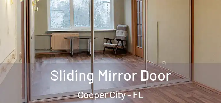  Sliding Mirror Door Cooper City - FL