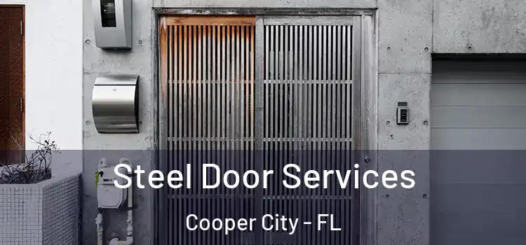 Steel Door Services Cooper City - FL